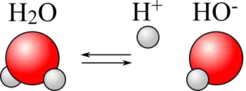 Ion