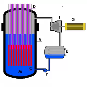 Siedewasser-Kernreaktor (BWR)