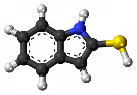 Zweige der Chemie: Hauptdisziplinen und Merkmale